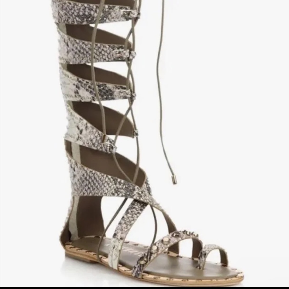 Ivy Kirzhner Sorcerer Gladiator Sandles